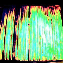 OUTSIDE THE BIRDS HAVE COME BACK