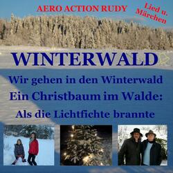 Ein Christbaum im Walde Teil 3
