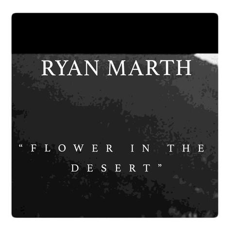 Flower in the Desert
