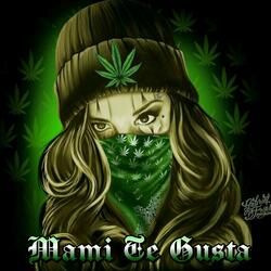 Mami Te Gusta (feat. Lil Anonimo)