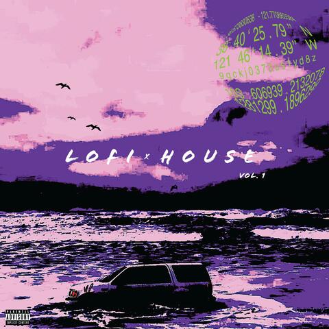 L O F I x H O U S E, Vol. 1