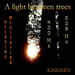 A light between trees 528 Hz (Flute and Strings Pads) with 888 Hz Pure Tone