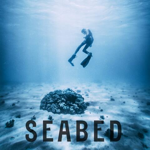 Seabed