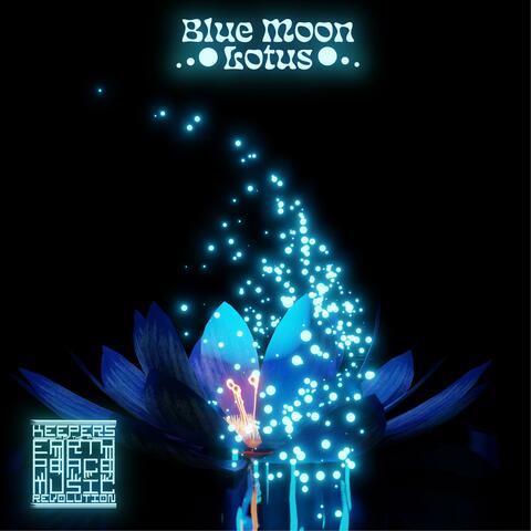 Blue Moon Lotus