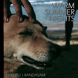 Warm Summer Nights (feat. Kandasami)