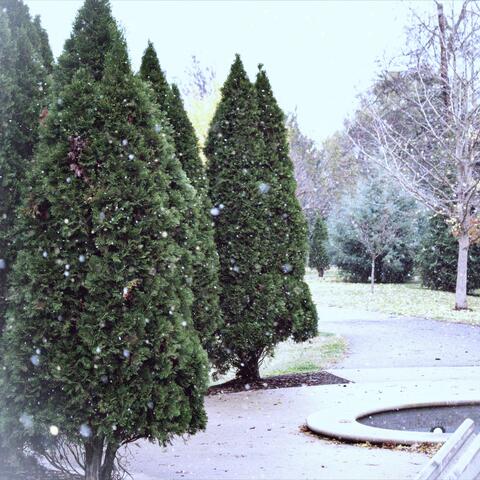 Snow Day (Instrumental)