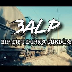 Bir Çift Durna Gördüm