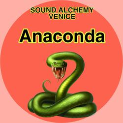 Anaconda