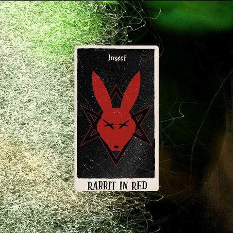 Insect