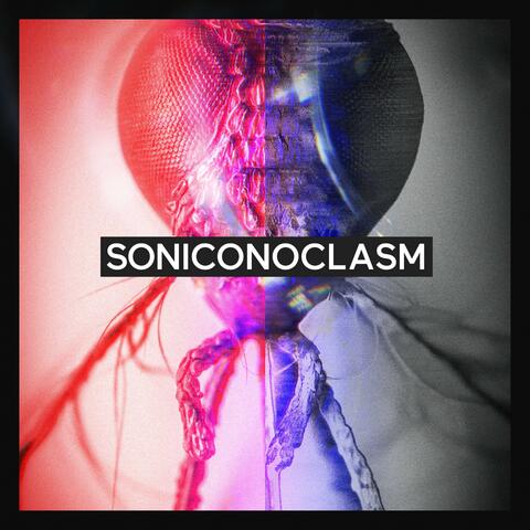Soniconoclasm