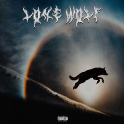 Afterlife (feat. Tony Bloudreaux)