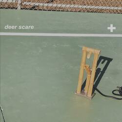 Deer Scare