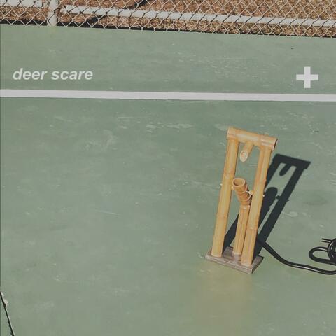 Deer Scare