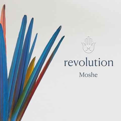 Revolution (feat. Nessi Gomes)