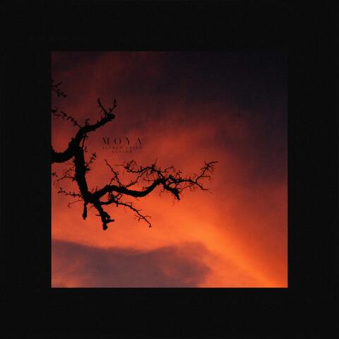 Moya (feat. Alfred Geier)