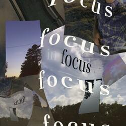 In Focus