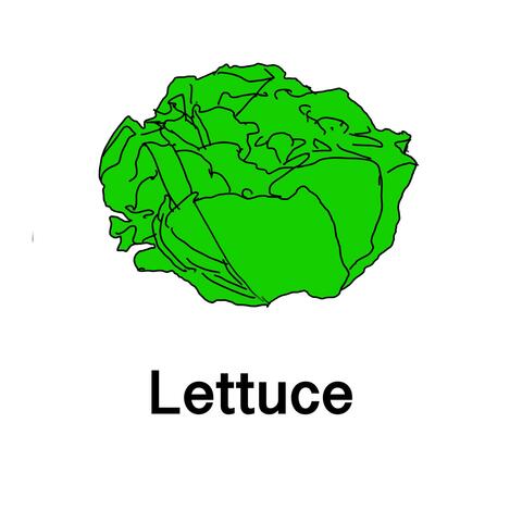 Lettuce