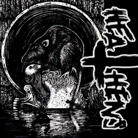 Rat Piss Attic