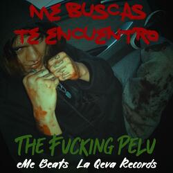 Me buscas, te encuentro