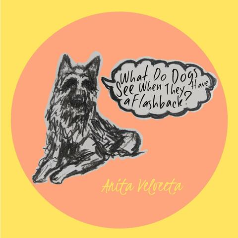 What Do Dogs See When They Have a Flashback?