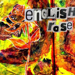 English Rose