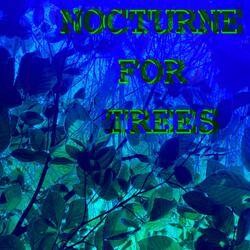 Nocturne for Trees