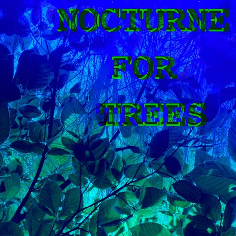 Nocturne for Trees