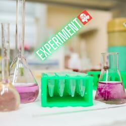 Experiment