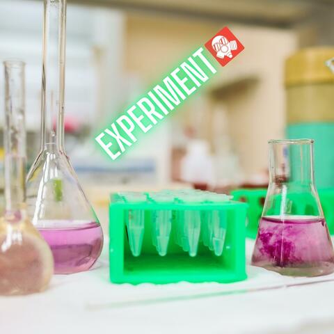 Experiment