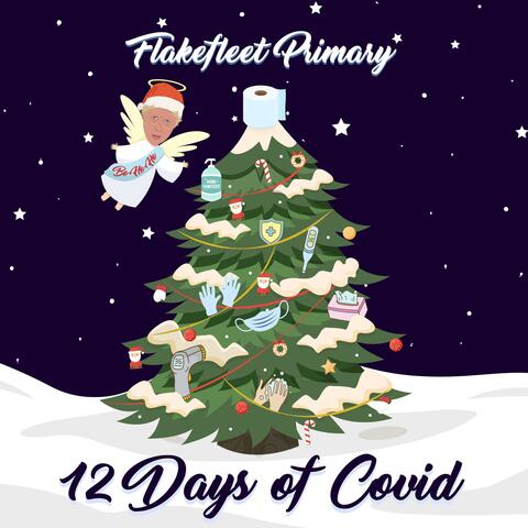 12 Days of Covid