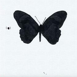 butterflies