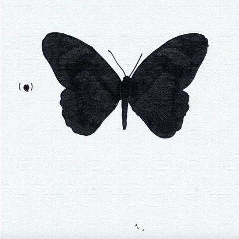 butterflies