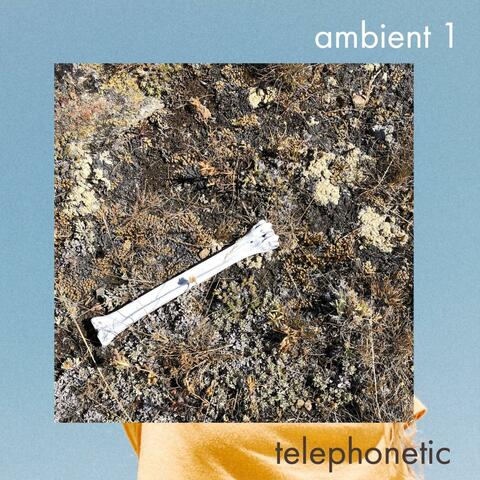 Ambient 1