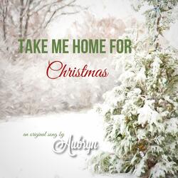 Take Me Home for Christmas
