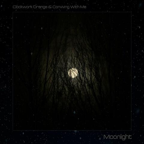moonlight