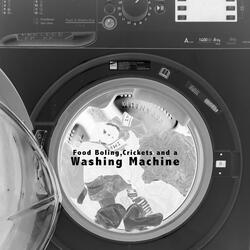 Food Boiling, Crickets and a Washing Machine