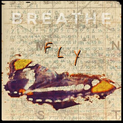 Fly