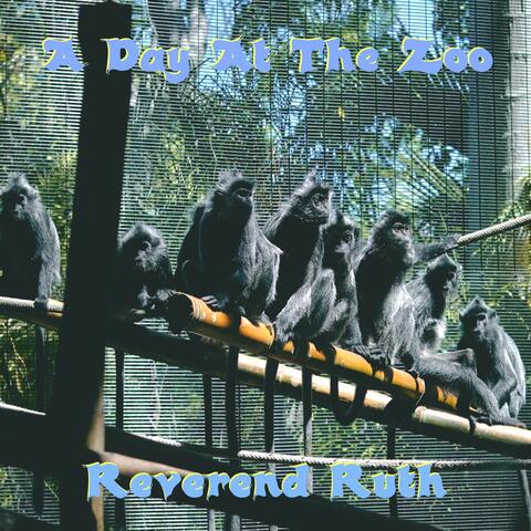 A Day at the Zoo
