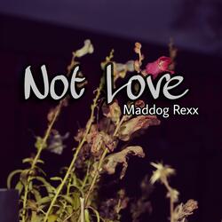 Not Love
