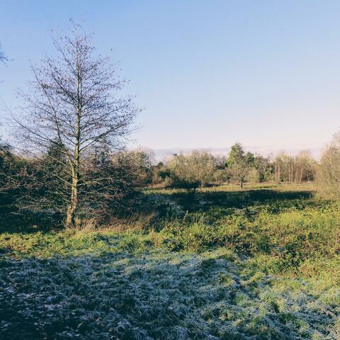 In the Bleak Midwinter
