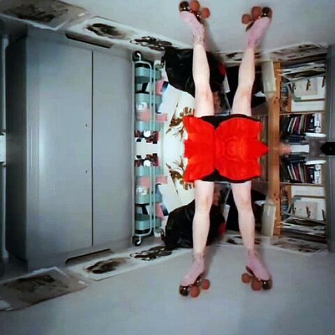 Legs Legs Legs