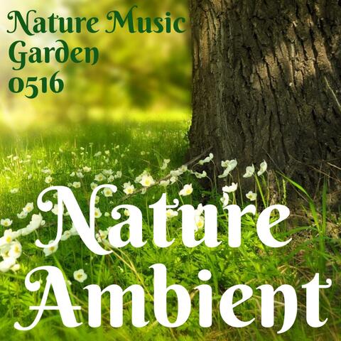 Nature Ambient Volume 1