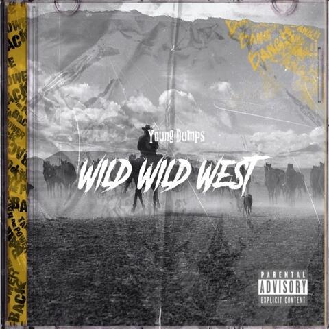 Wild Wild West