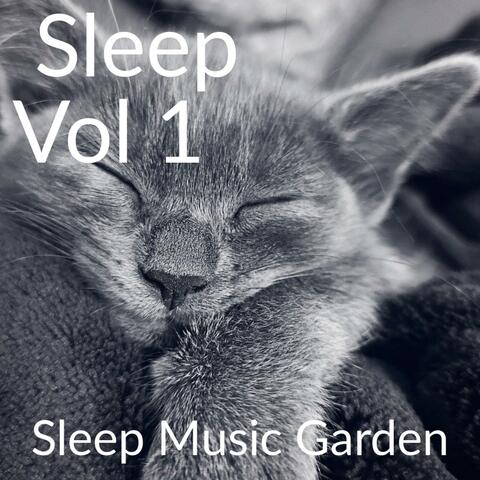Sleep Volume 1