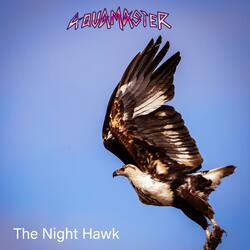 The Night Hawk