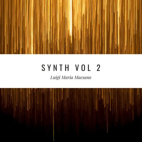 Synth, Vol. 2