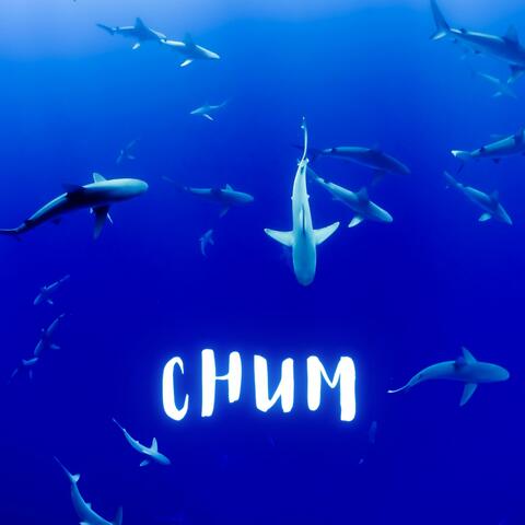 Chum