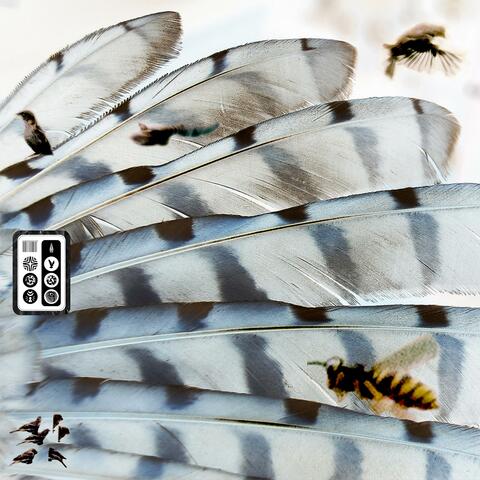 featherweight (natebuttel remix)