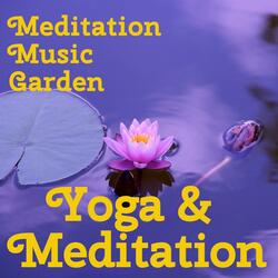 Escape Into Yoga