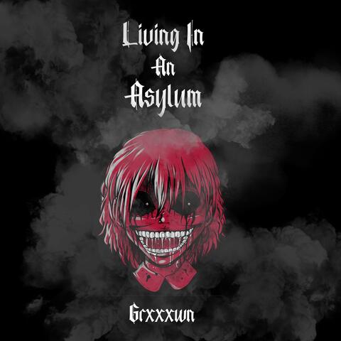 Living In An Asylum